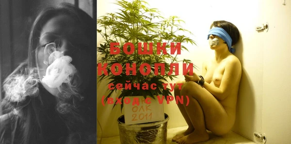 гидра Елизово
