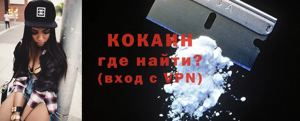 гидра Елизово