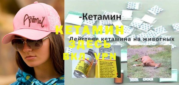 гидра Елизово