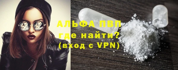 гидра Елизово