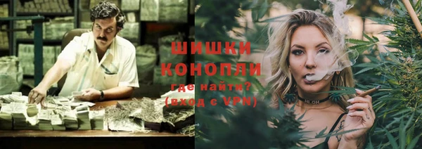 гидра Елизово