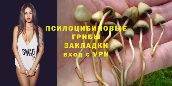 стафф Дмитриев