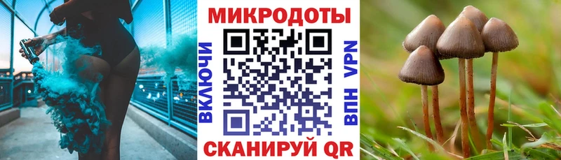 Купить  Зерноград  Галлюциногенные грибы Magic Shrooms 